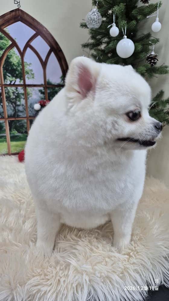 멍 · 네이버 지도·플레이스 5