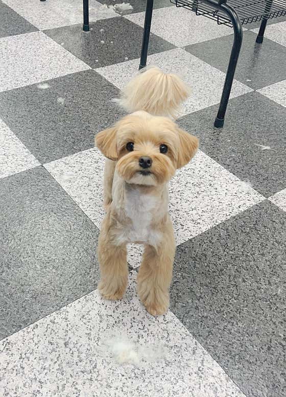 하루,멍 · 네이버 지도·플레이스 10