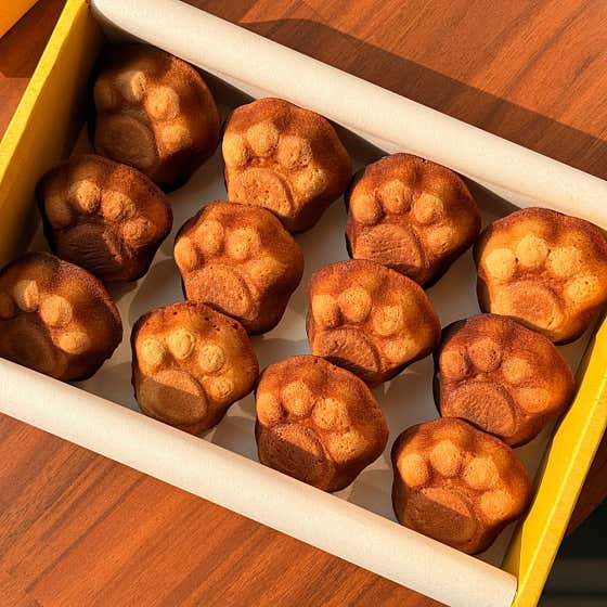 발바닥빵 상자 메뉴 사진(네이버)