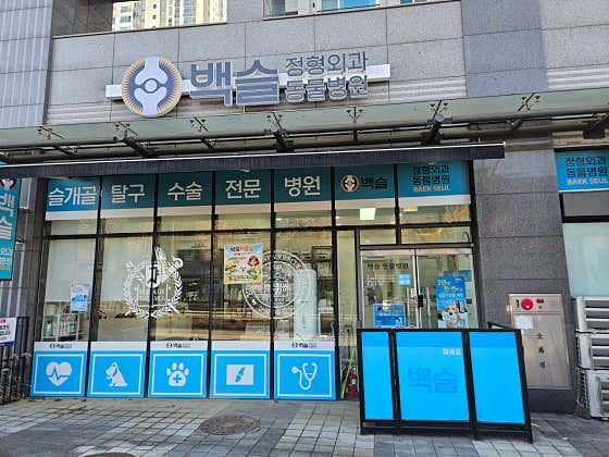 백슬애견미용실