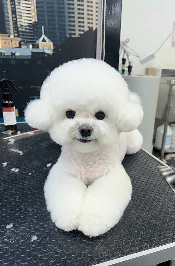 하루,멍 · 네이버 지도·플레이스 9