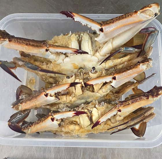 살꽉찬간장게장 大 3마리 포장 메뉴 사진(네이버)