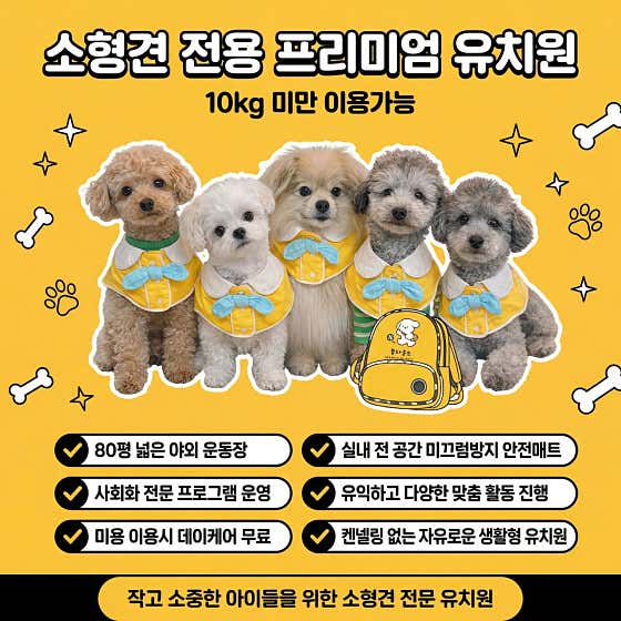 놀라운드 애견유치원 애견호텔 애견미용 · 네이버 지도·플레이스 4