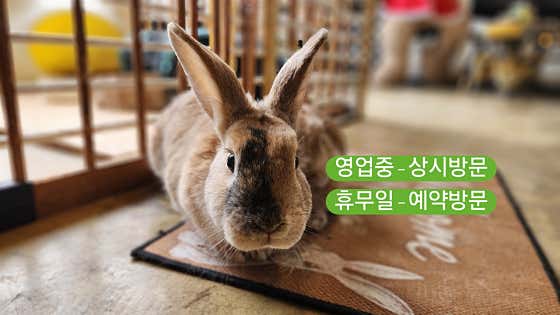 라벤더하우스 · 네이버 지도·플레이스 3