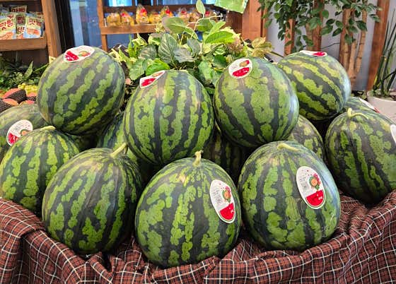 수박 메뉴 사진(네이버)