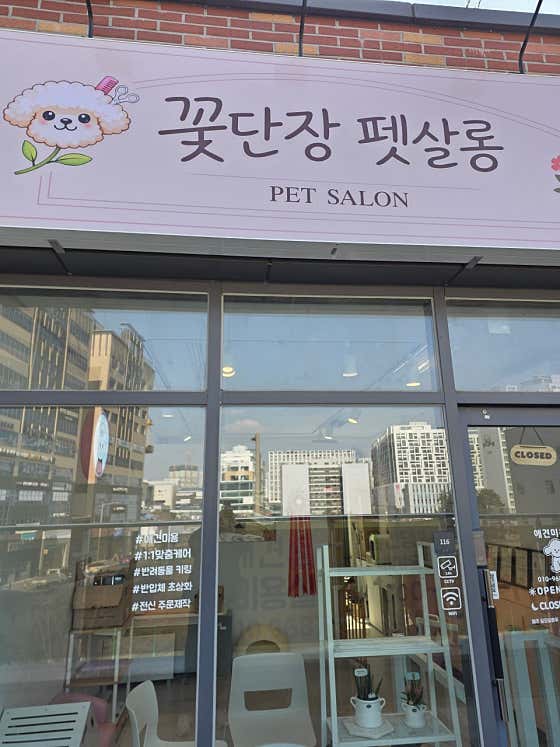 꽃단장 펫 살롱 · 네이버 지도·플레이스 6