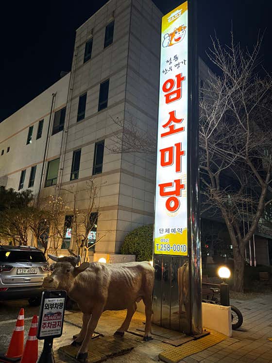 암소마당 · 네이버 지도·플레이스 3