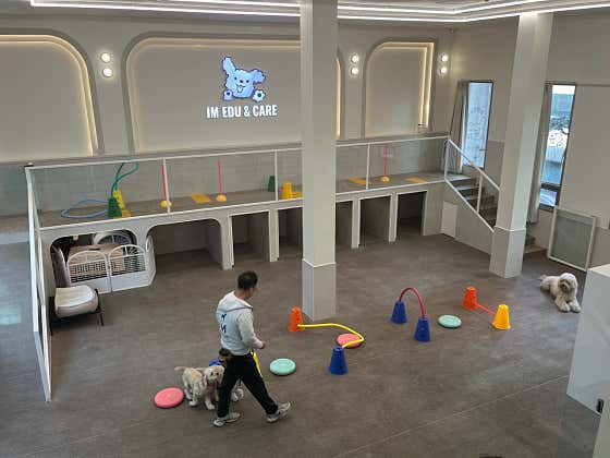 아이엠 강아지유치원&호텔&미용 · 네이버 지도·플레이스 2