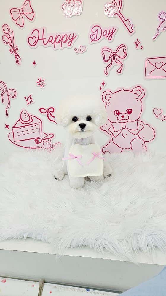 끌리개 · 네이버 지도·플레이스 3