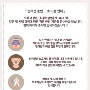애견 동반 안내 메뉴 사진(네이버)