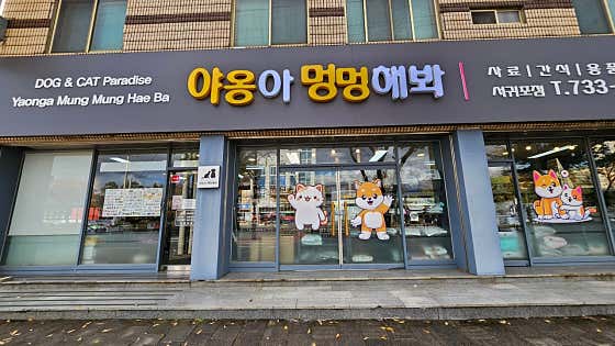 야옹아 멍멍해봐 서귀포점