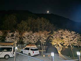 오솔길 오토 캠핑장 — 경주시