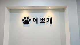 예쁘개 대표이미지