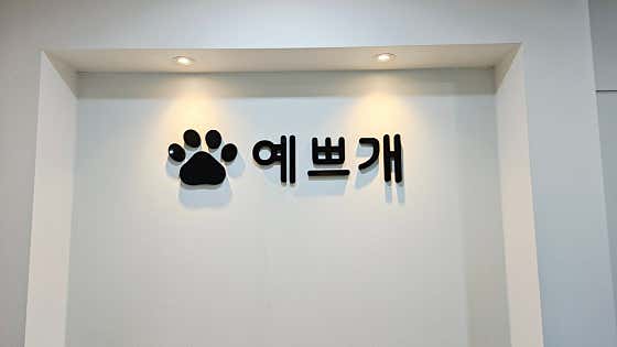 예쁘개