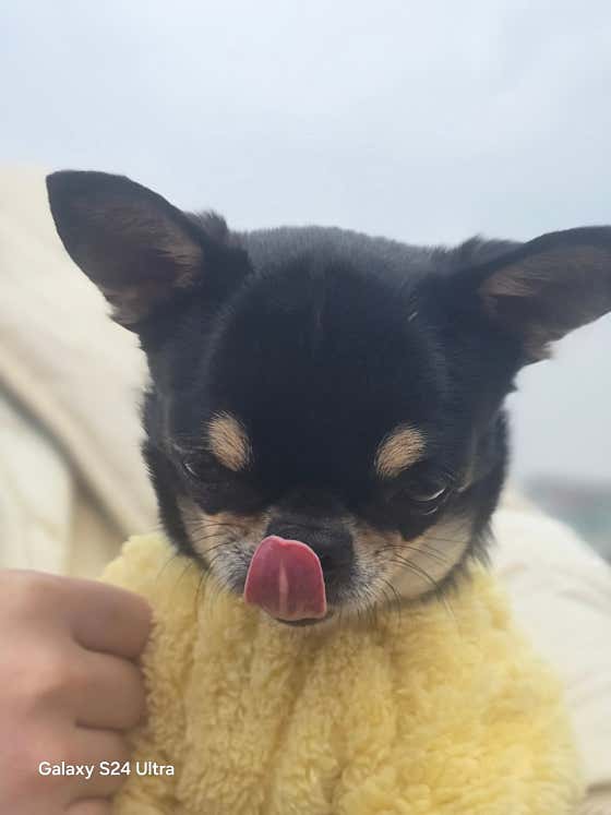 공원물망초 1호 · 네이버 지도·플레이스 4