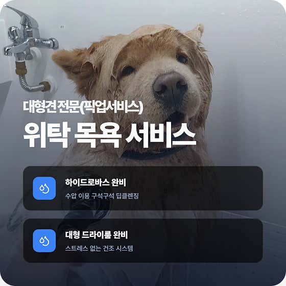 ATS반려동물훈련학교 · 네이버 지도·플레이스 6