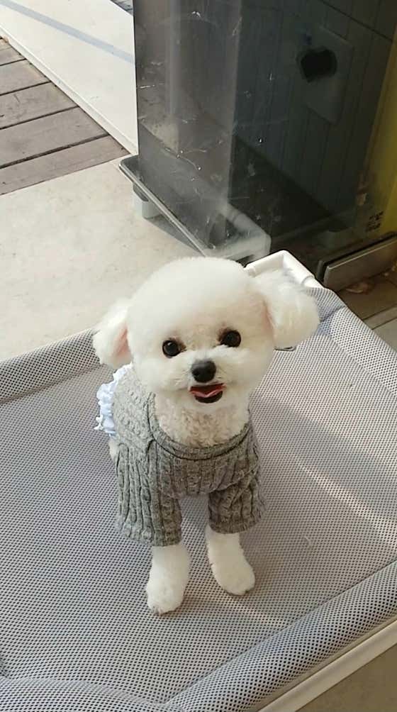 청담슈슈 · 네이버 지도·플레이스 7
