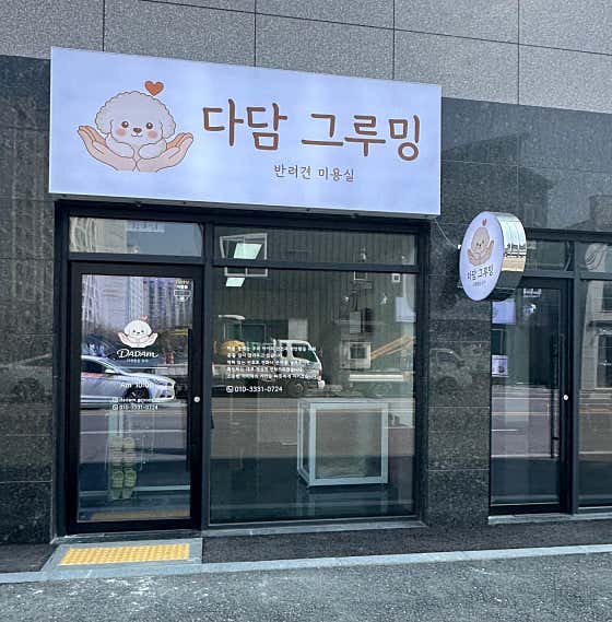 다담 그루밍