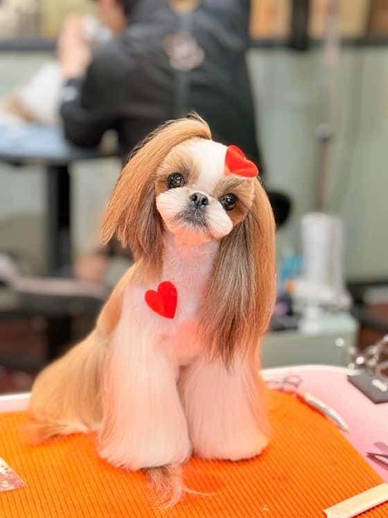 메종브이아이피203