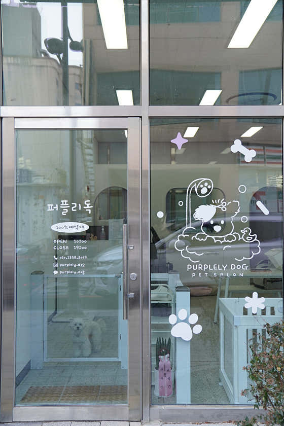 퍼플리독 · 네이버 지도·플레이스 2