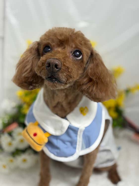 봄날의 봉봉 · 네이버 지도·플레이스 3