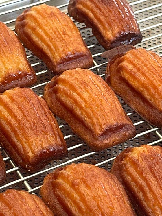 버터모찌(버터떡) 메뉴 사진(네이버)