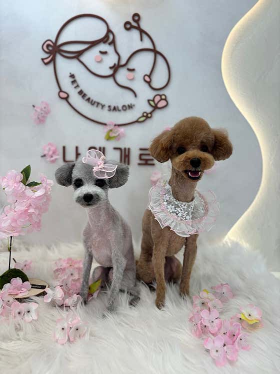 나에개로 · 네이버 지도·플레이스 8