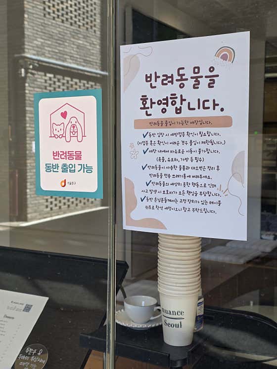 뉘앙스 서울 · 네이버 지도·플레이스 8