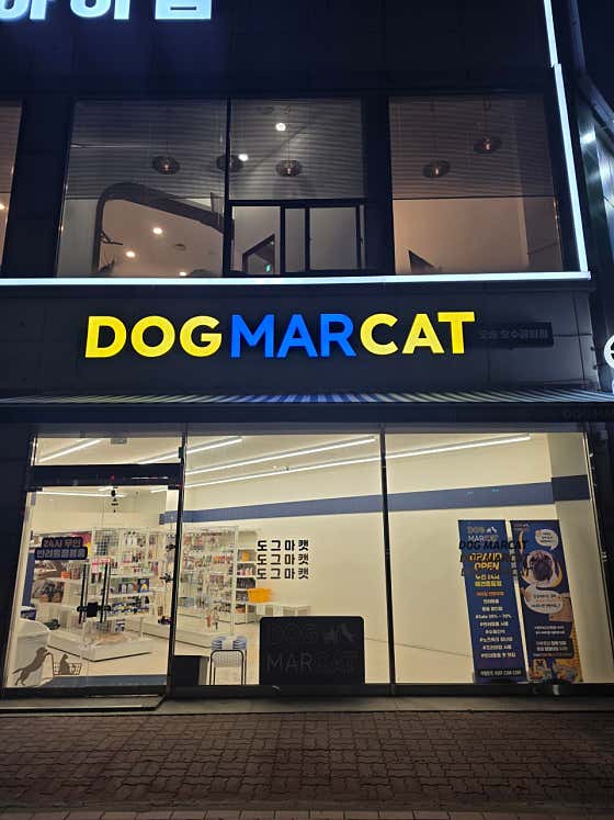 도그마캣 오송호수공원점