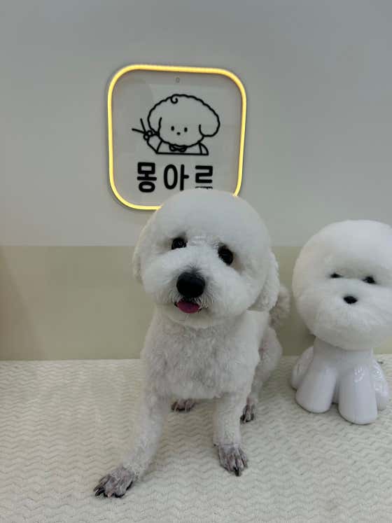 몽아르 · 네이버 지도·플레이스 9