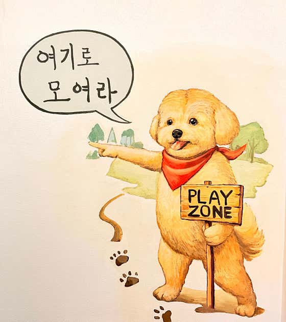 돈워리독 대표이미지