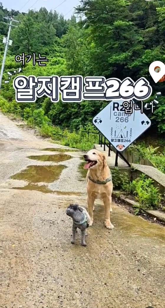 알지캠프266 대표이미지