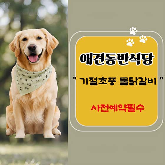 기절초풍물닭갈비 · 네이버 지도·플레이스 3