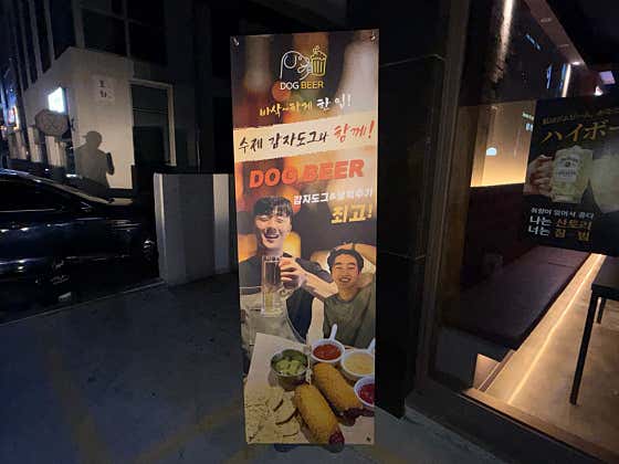 도그비어