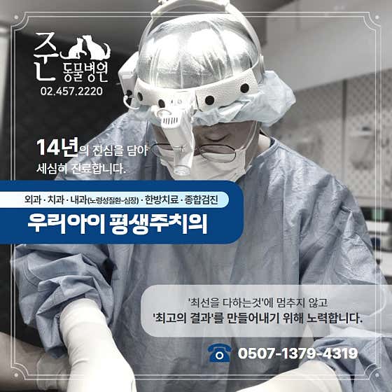 준동물병원 대표이미지