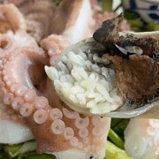 쭈꾸미숙회(시즌) 메뉴 사진(네이버)