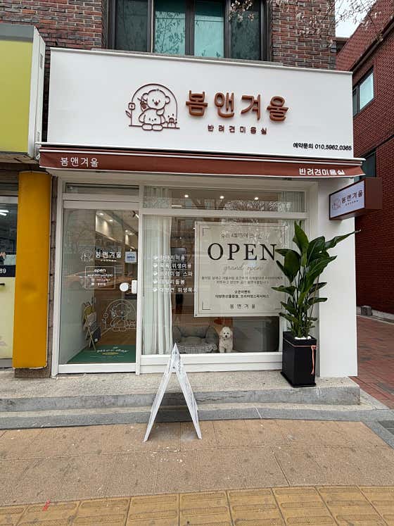 봄앤겨울 · 네이버 지도·플레이스 8