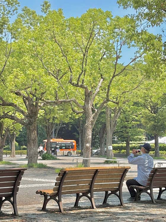 평화세트 메뉴 사진(네이버)