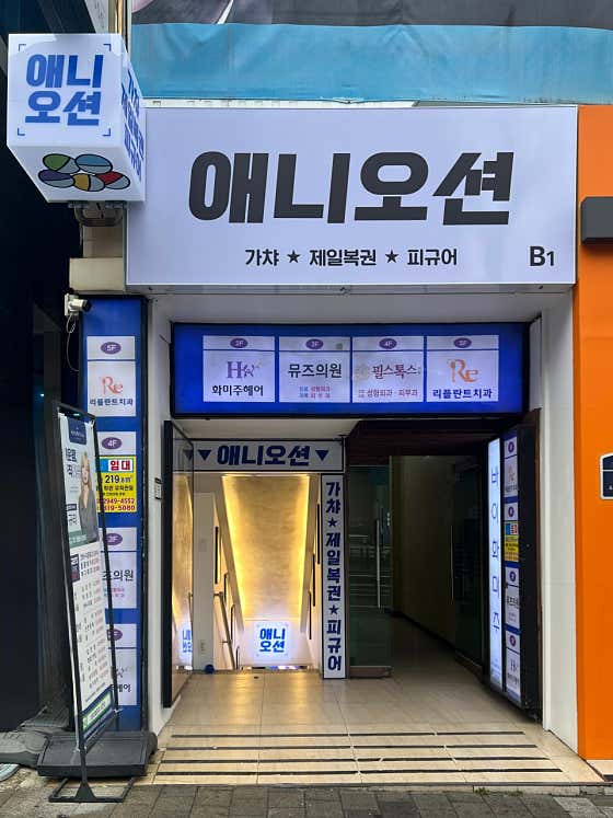 애니오션 - 1