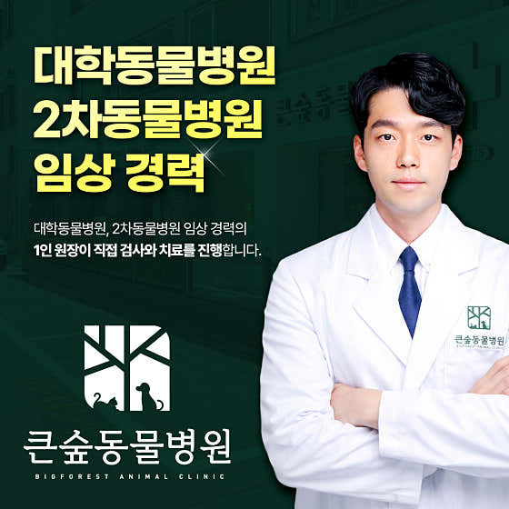 강동큰숲동물병원 대표이미지