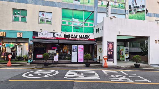 캣마스크 커피 · 네이버 지도·플레이스 6