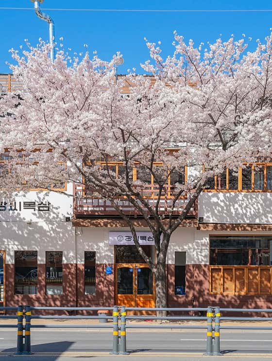 강씨목삼 앞산본점