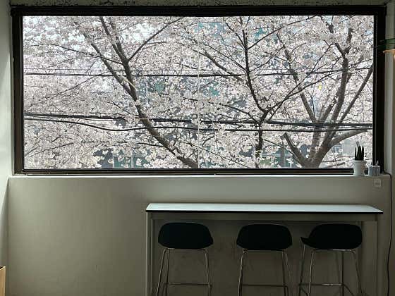 카페 녹 NOC