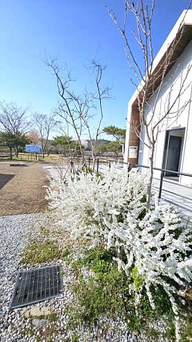 342 camp 사진