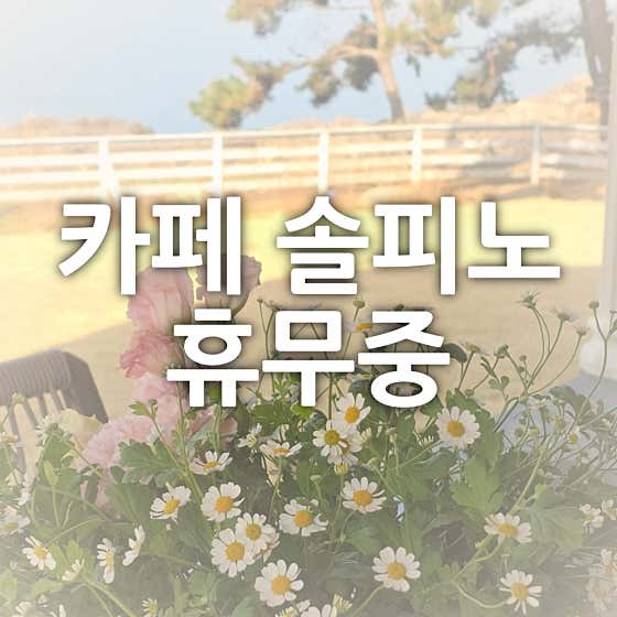 카페 솔피노