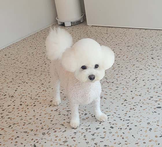 사탕이네 대표이미지