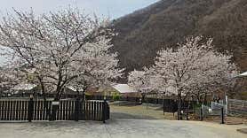 캠앤캠아지트 사진