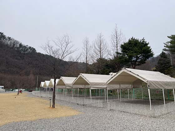 은하수캠핑장 대표이미지