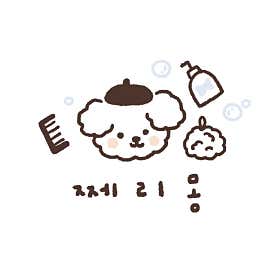 쩨리몽 애견유치원 애견미용실 · 네이버 지도·플레이스 5