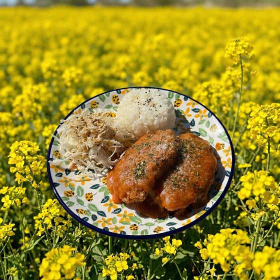수제 제주 흑돼지 경양식돈까츠 메뉴 사진(네이버)